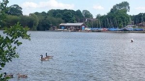 GSC clubhouse across the Flash